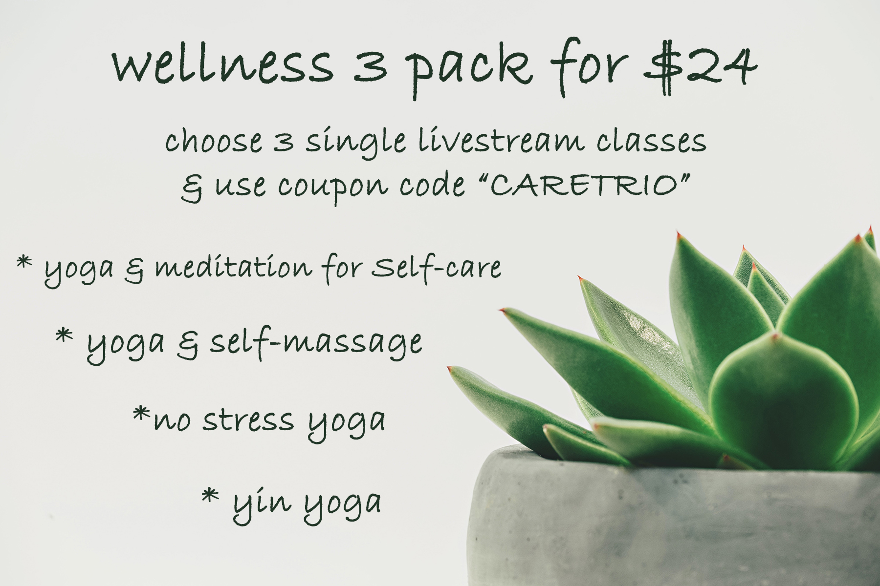 3 Wellness classes for $21